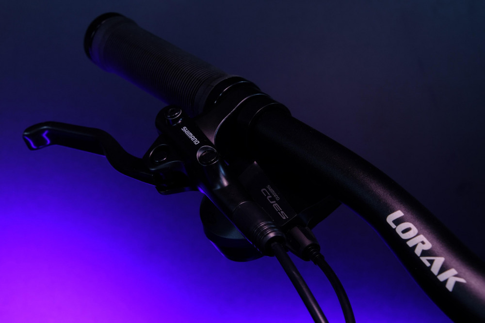 LORAK LX350 SE Матовый Синий 21р (на рост 183-190)